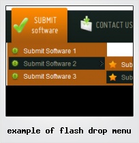 Example Of Flash Drop Menu