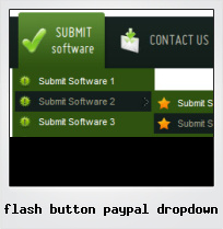 Flash Button Paypal Dropdown