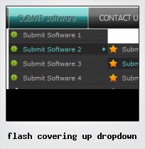 Flash Covering Up Dropdown