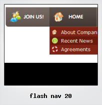 Flash Nav 20