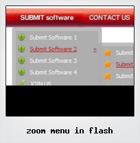 Zoom Menu In Flash