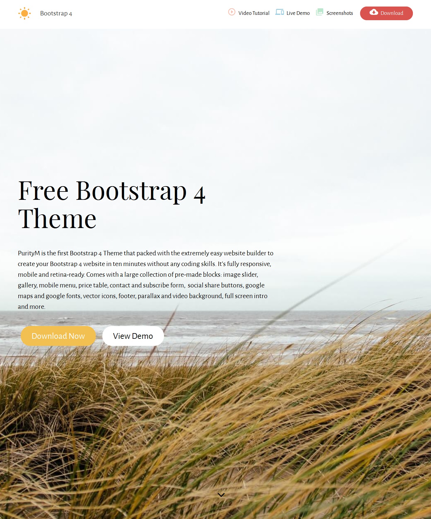 Free Download Bootstrap Minimal Theme