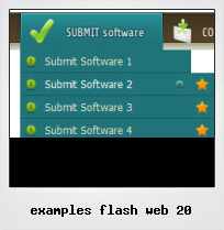 Examples Flash Web 20