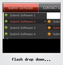 Flash Drop Down Navigation Software
