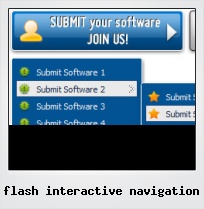 Flash Interactive Navigation