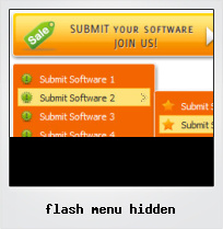 Flash Menu Hidden