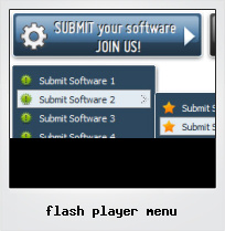Flash Player Menu