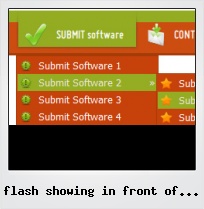 Flash Showing In Front Of Menu