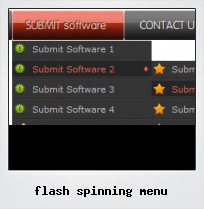 Flash Spinning Menu