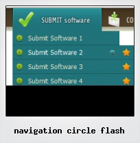 Navigation Circle Flash