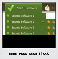Text Zoom Menu Flash