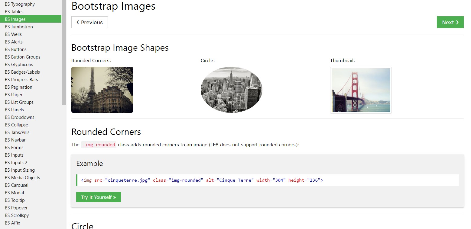 Bootstrap image  guide